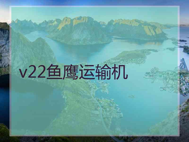 v22鱼鹰运输机