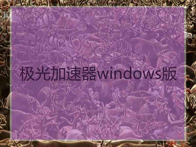 极光加速器windows版