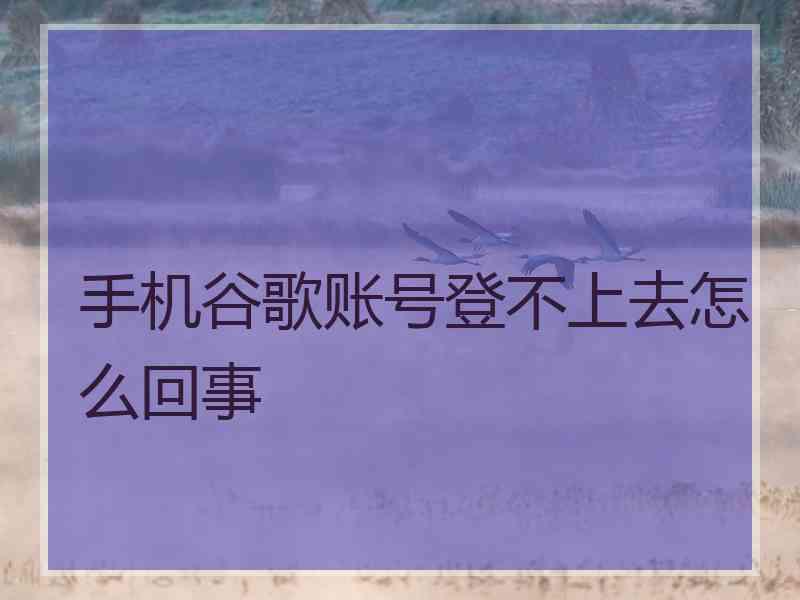 手机谷歌账号登不上去怎么回事