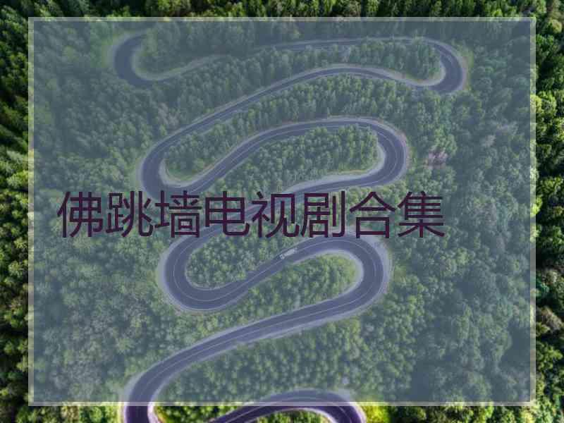 佛跳墙电视剧合集