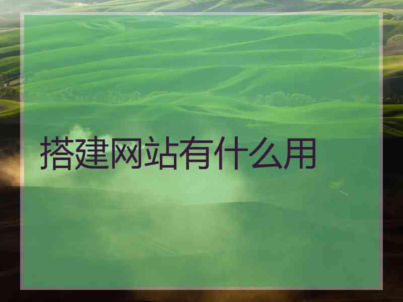 搭建网站有什么用