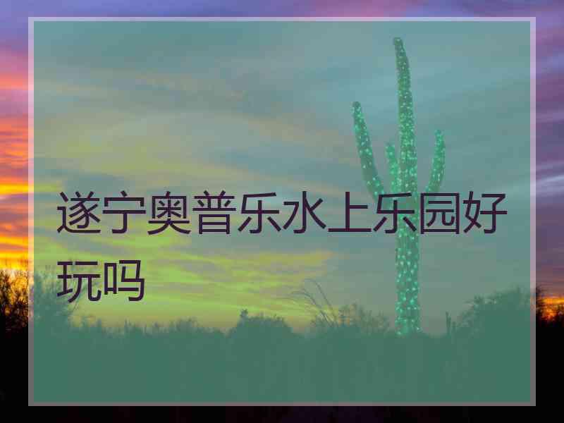 遂宁奥普乐水上乐园好玩吗