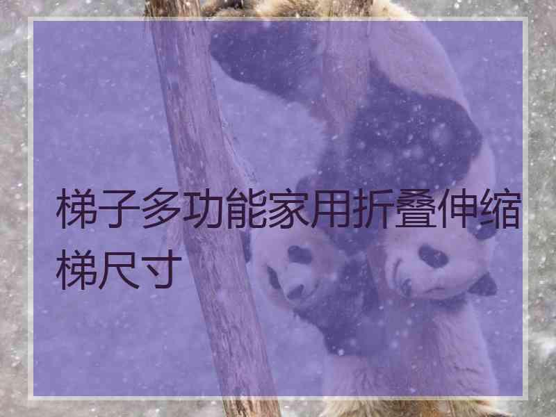 梯子多功能家用折叠伸缩梯尺寸