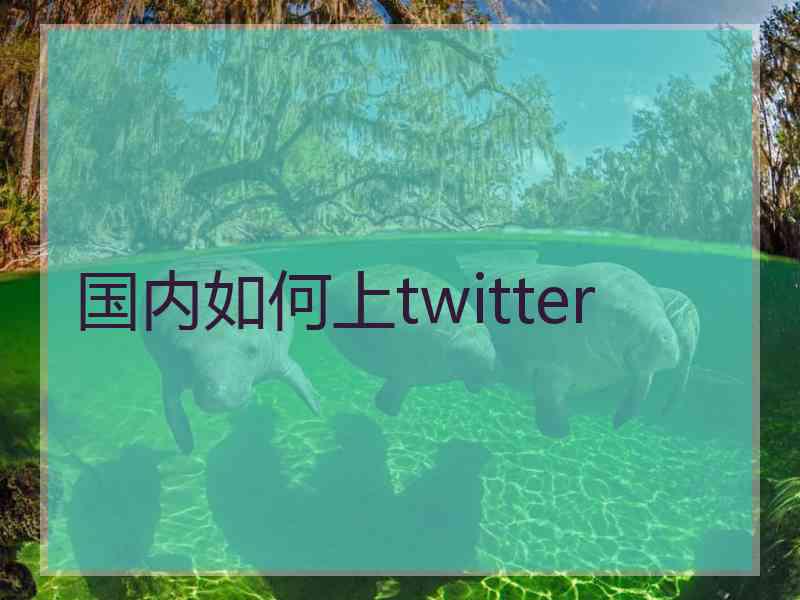 国内如何上twitter