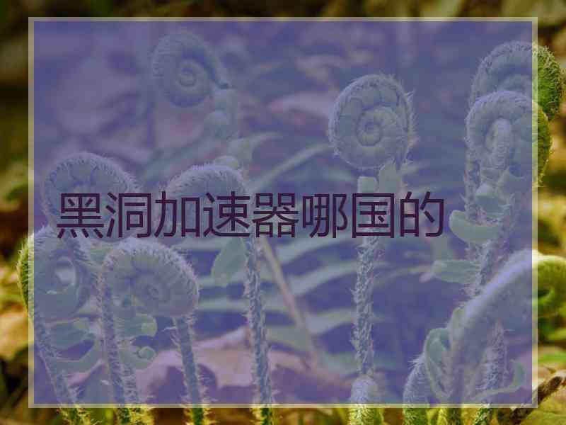 黑洞加速器哪国的