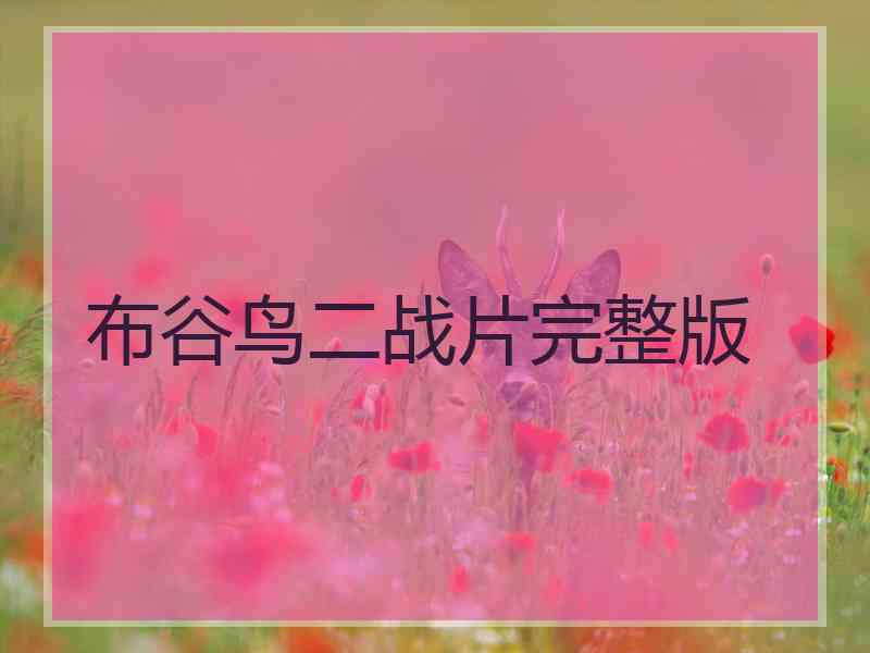 布谷鸟二战片完整版