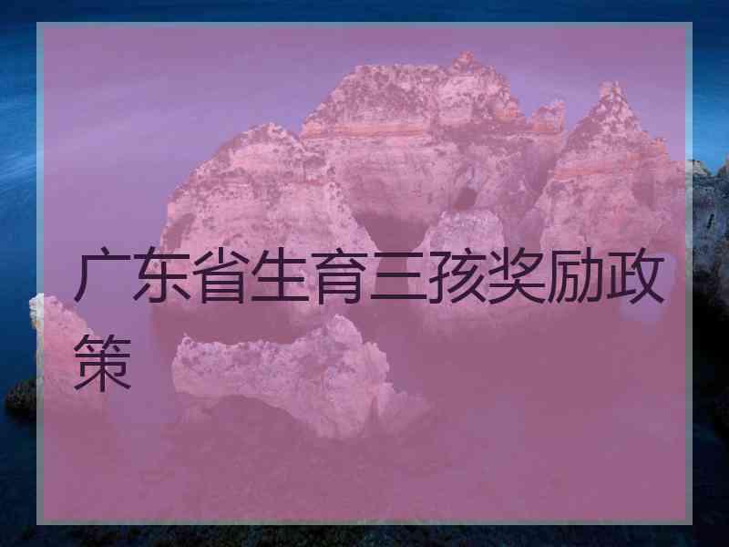 广东省生育三孩奖励政策