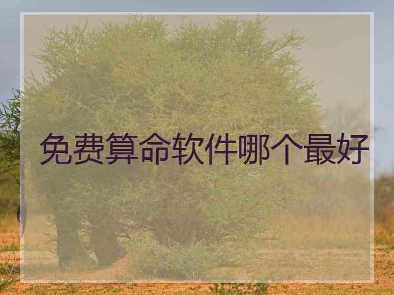 免费算命软件哪个最好