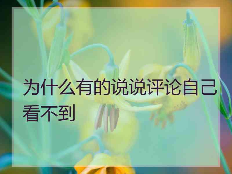 为什么有的说说评论自己看不到