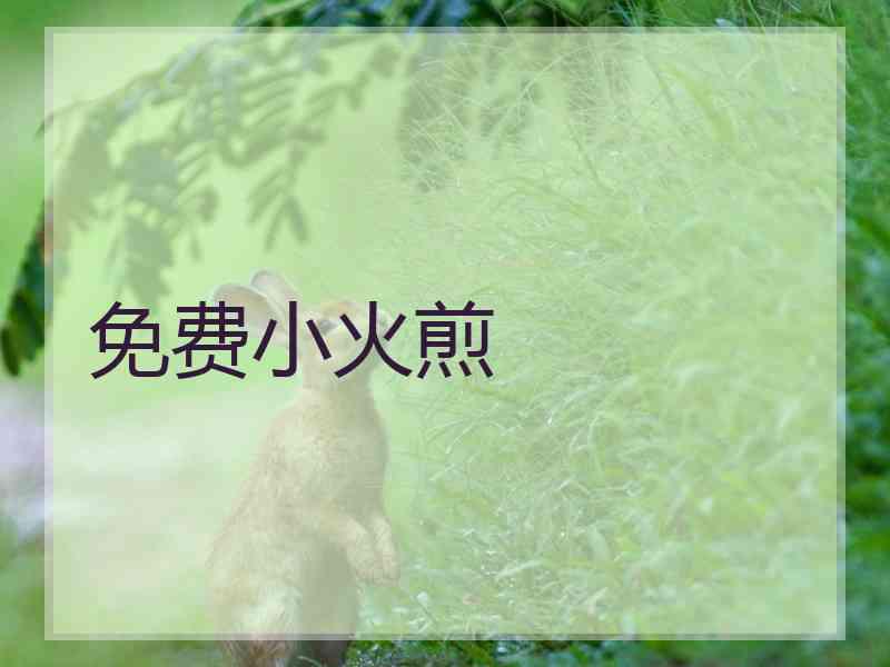 免费小火煎