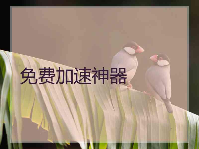 免费加速神器