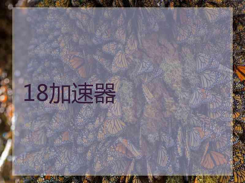 18加速器