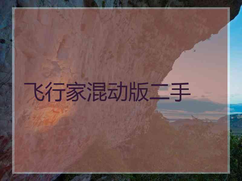飞行家混动版二手