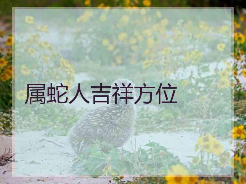 属蛇人吉祥方位