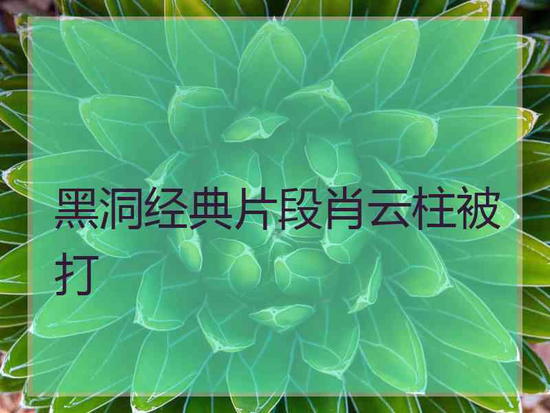 黑洞经典片段肖云柱被打