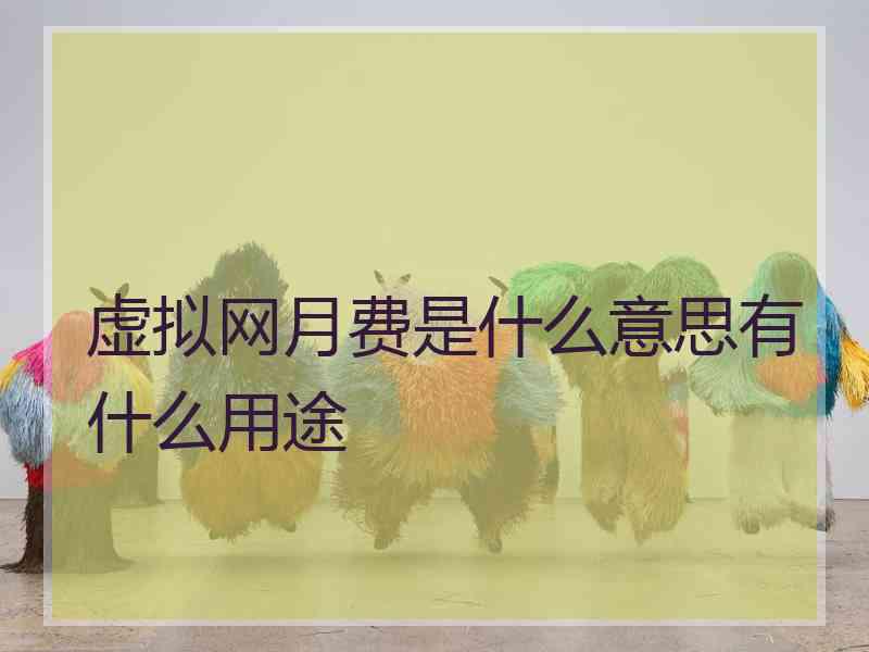 虚拟网月费是什么意思有什么用途