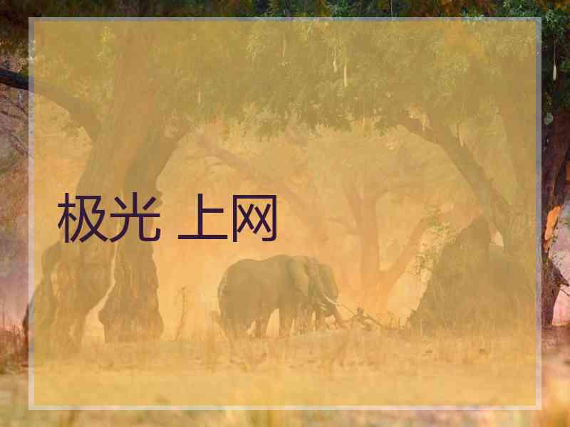 极光 上网