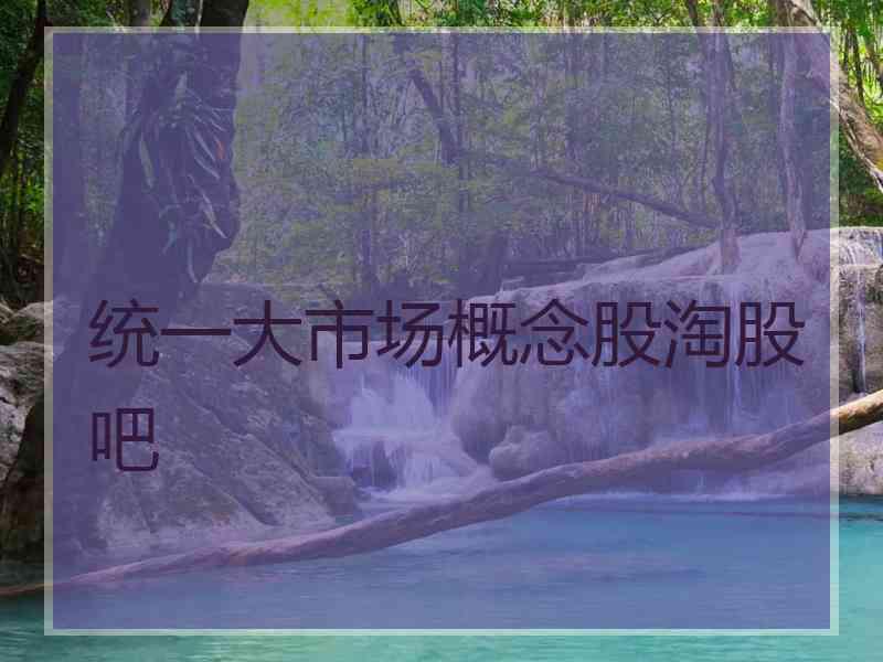 统一大市场概念股淘股吧