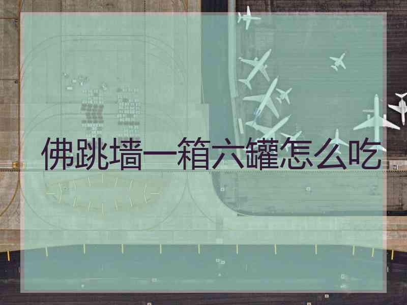 佛跳墙一箱六罐怎么吃