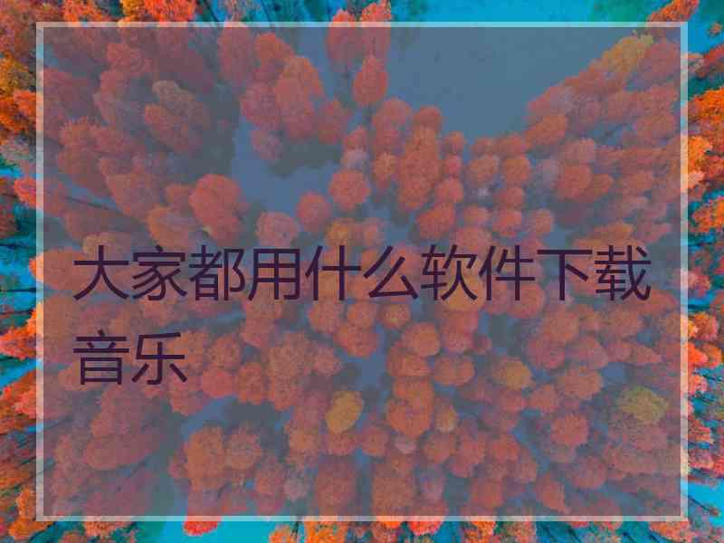 大家都用什么软件下载音乐