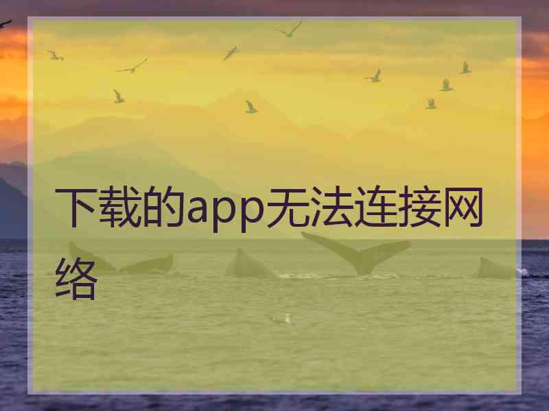 下载的app无法连接网络