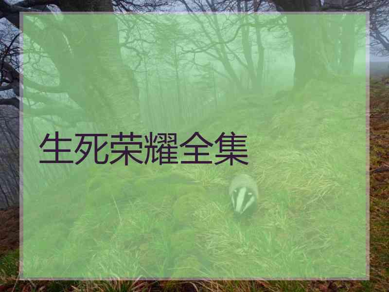 生死荣耀全集