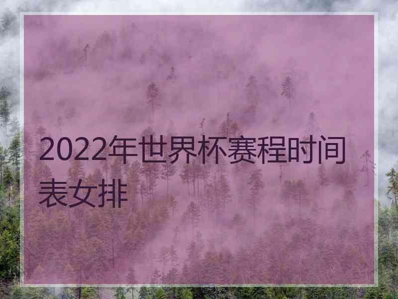 2022年世界杯赛程时间表女排