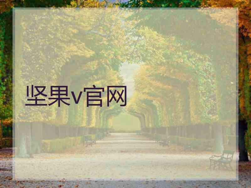 坚果v官网