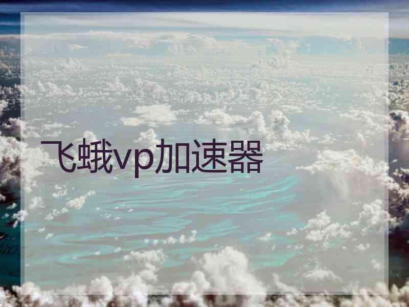 飞蛾vp加速器