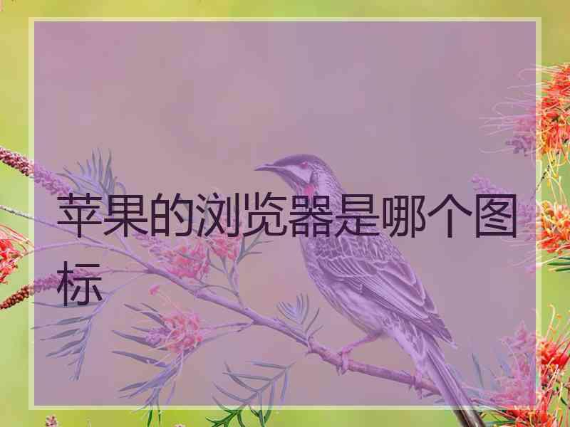 苹果的浏览器是哪个图标