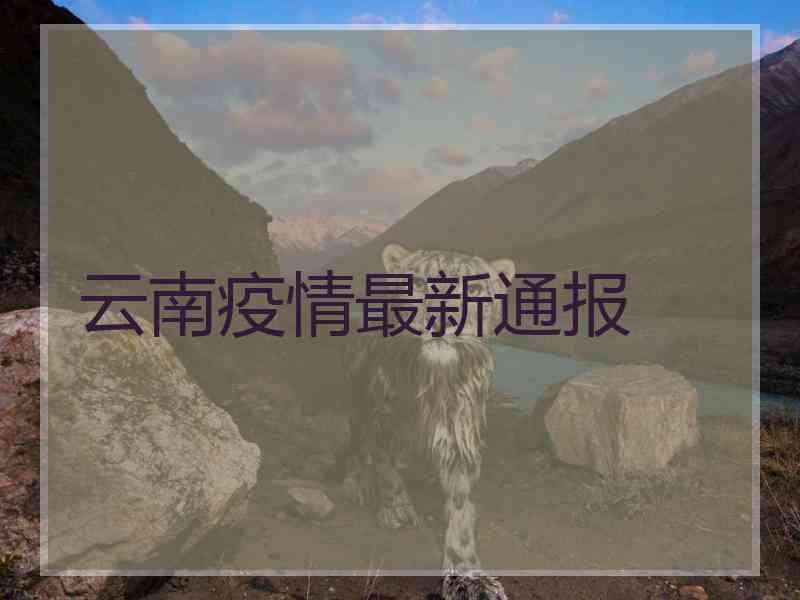 云南疫情最新通报