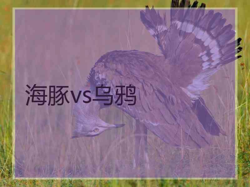 海豚vs乌鸦