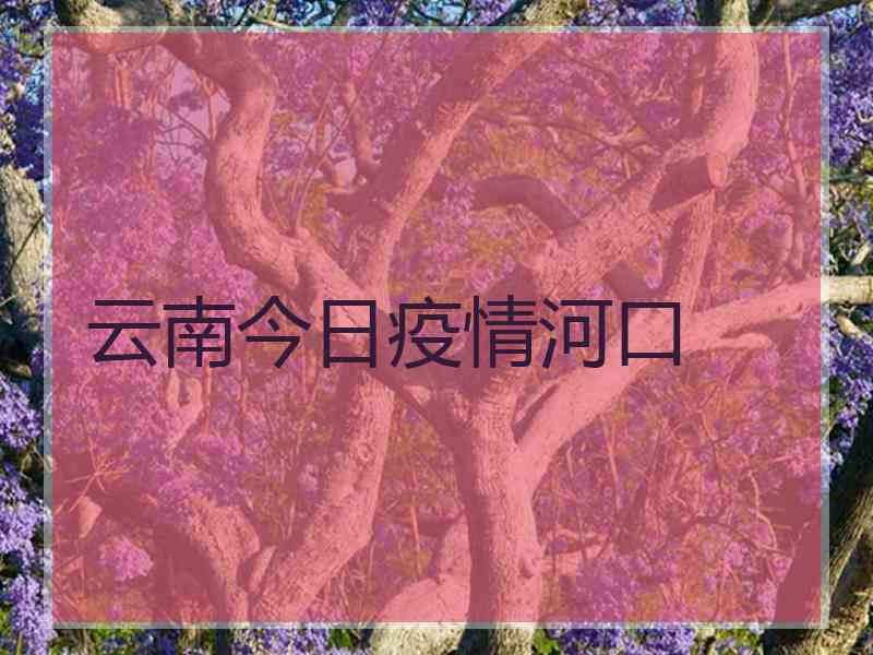 云南今日疫情河口