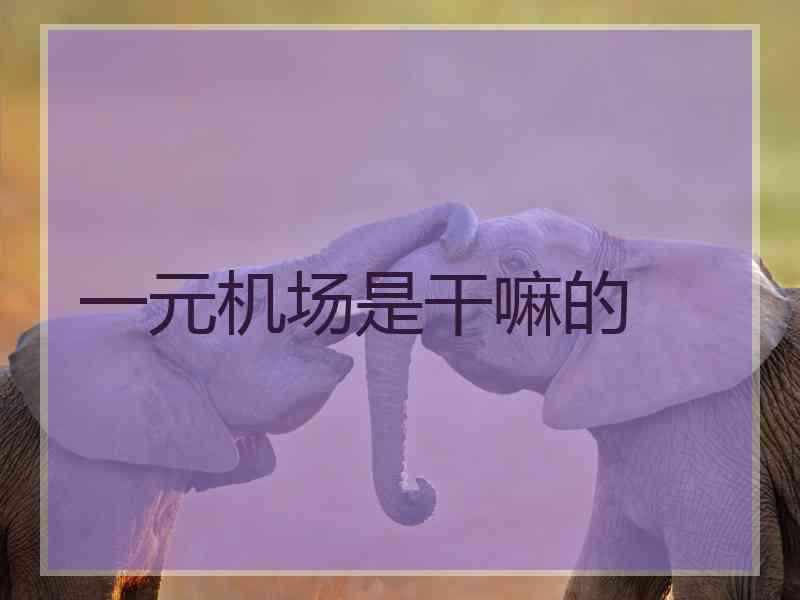 一元机场是干嘛的