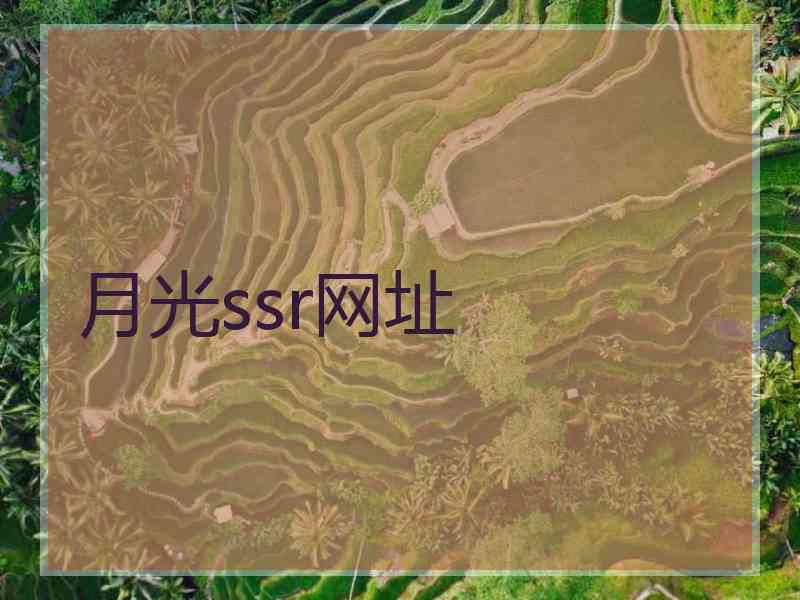 月光ssr网址