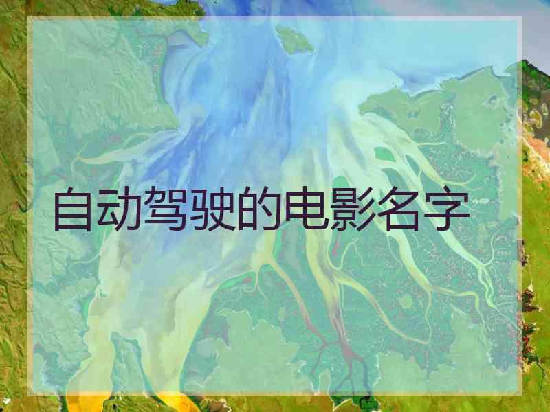 自动驾驶的电影名字