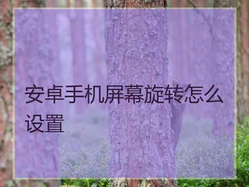 安卓手机屏幕旋转怎么设置
