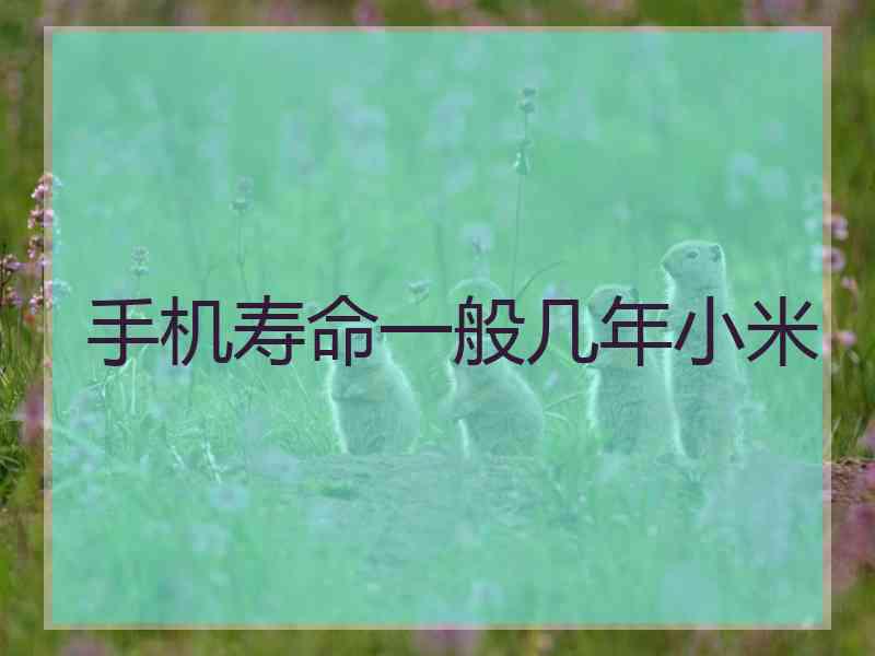 手机寿命一般几年小米