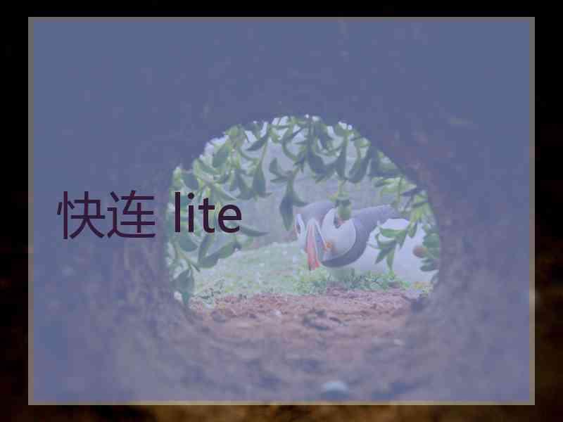 快连 lite