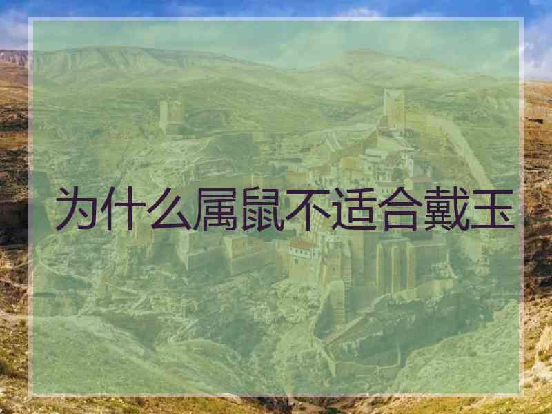 为什么属鼠不适合戴玉