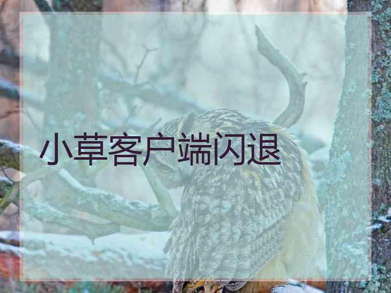小草客户端闪退