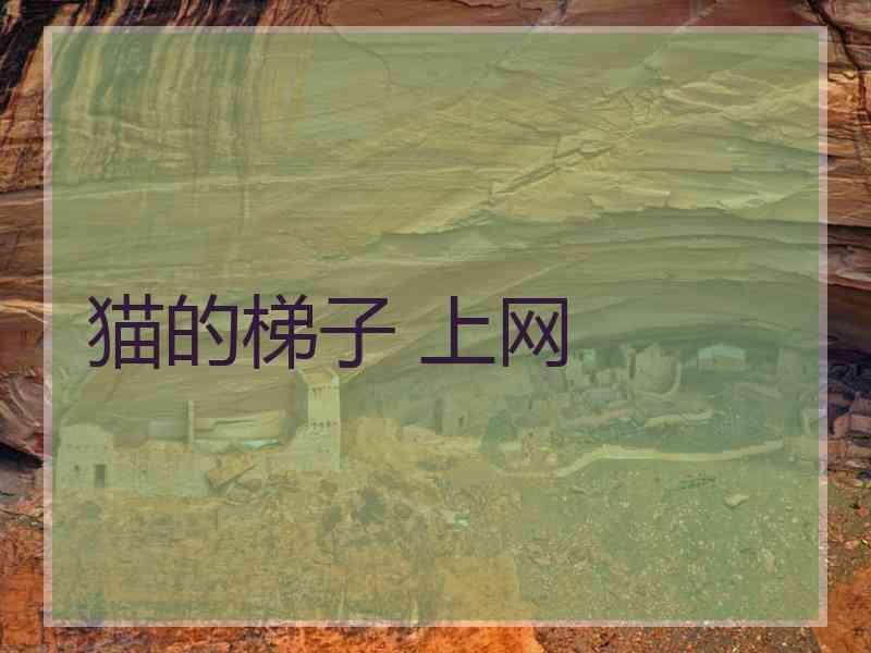 猫的梯子 上网