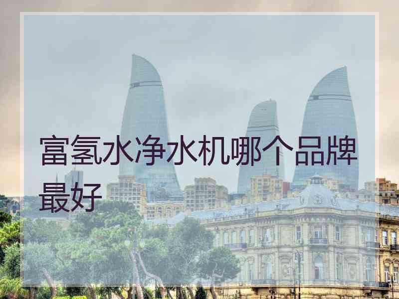 富氢水净水机哪个品牌最好