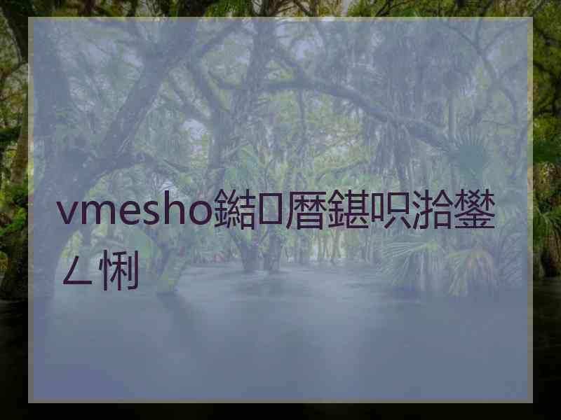 vmesho鐑暦鍖呮湁鐢ㄥ悧