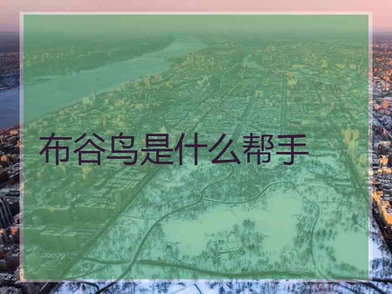 布谷鸟是什么帮手