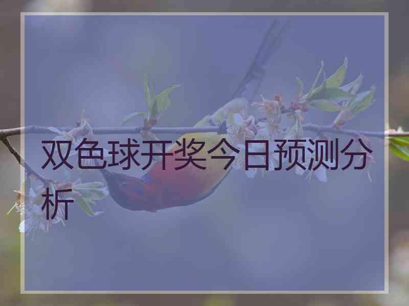 双色球开奖今日预测分析