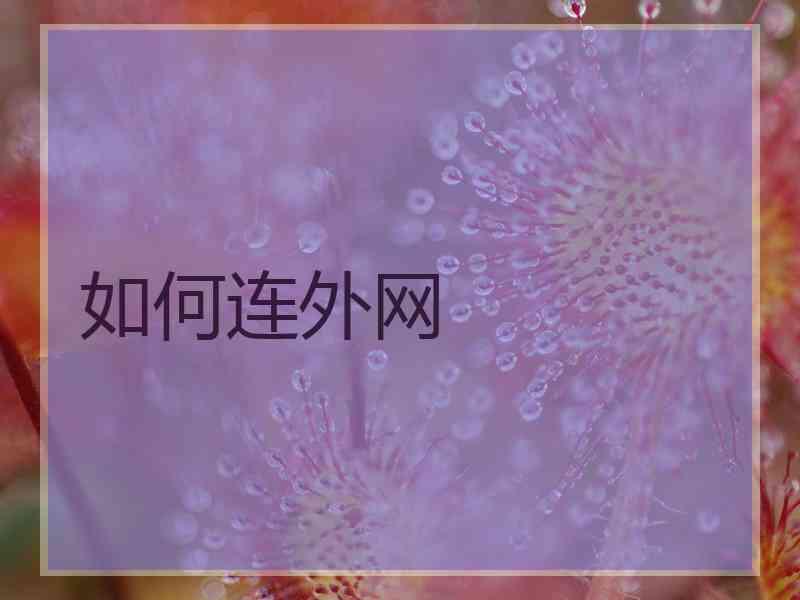 如何连外网