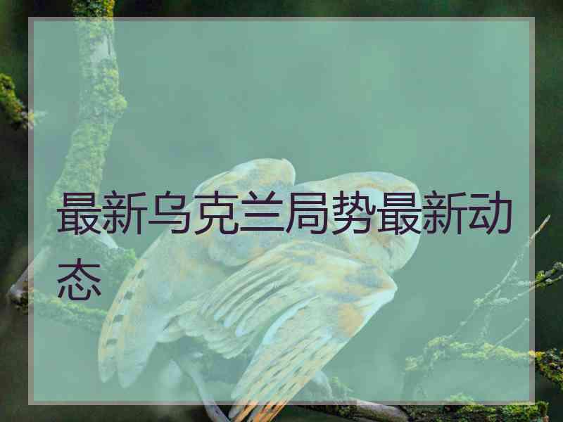 最新乌克兰局势最新动态