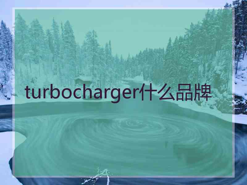 turbocharger什么品牌