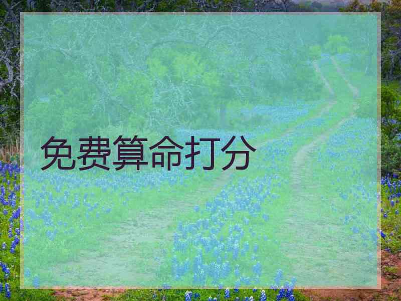 免费算命打分